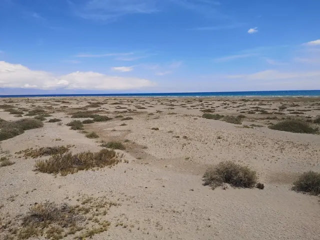 Issyk-Kul Beach, Issyk-Kul
