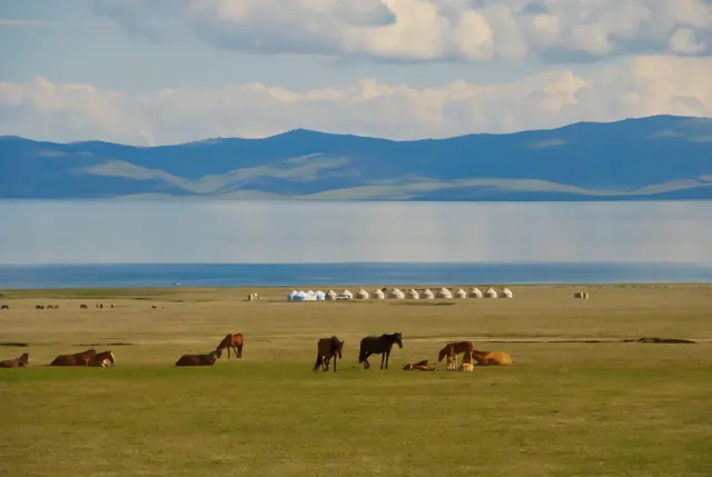 Naryn