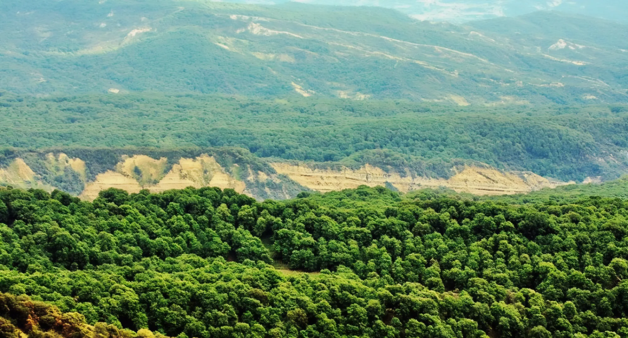 Arslanbob Walnut Forest, Jalal-Abad, Kyrgyzstan
